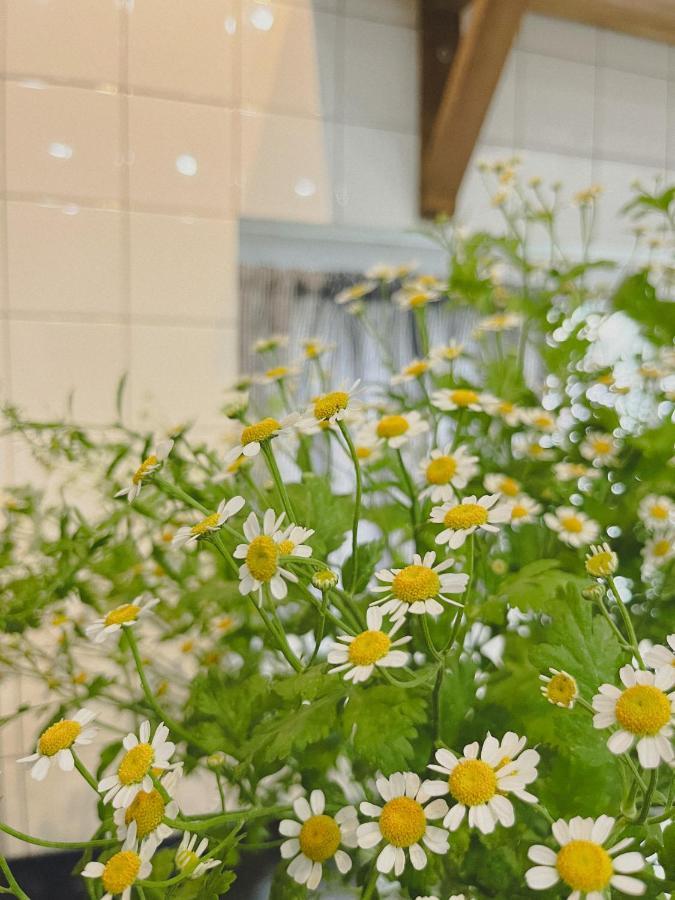 顺化 Ivy House酒店 外观 照片